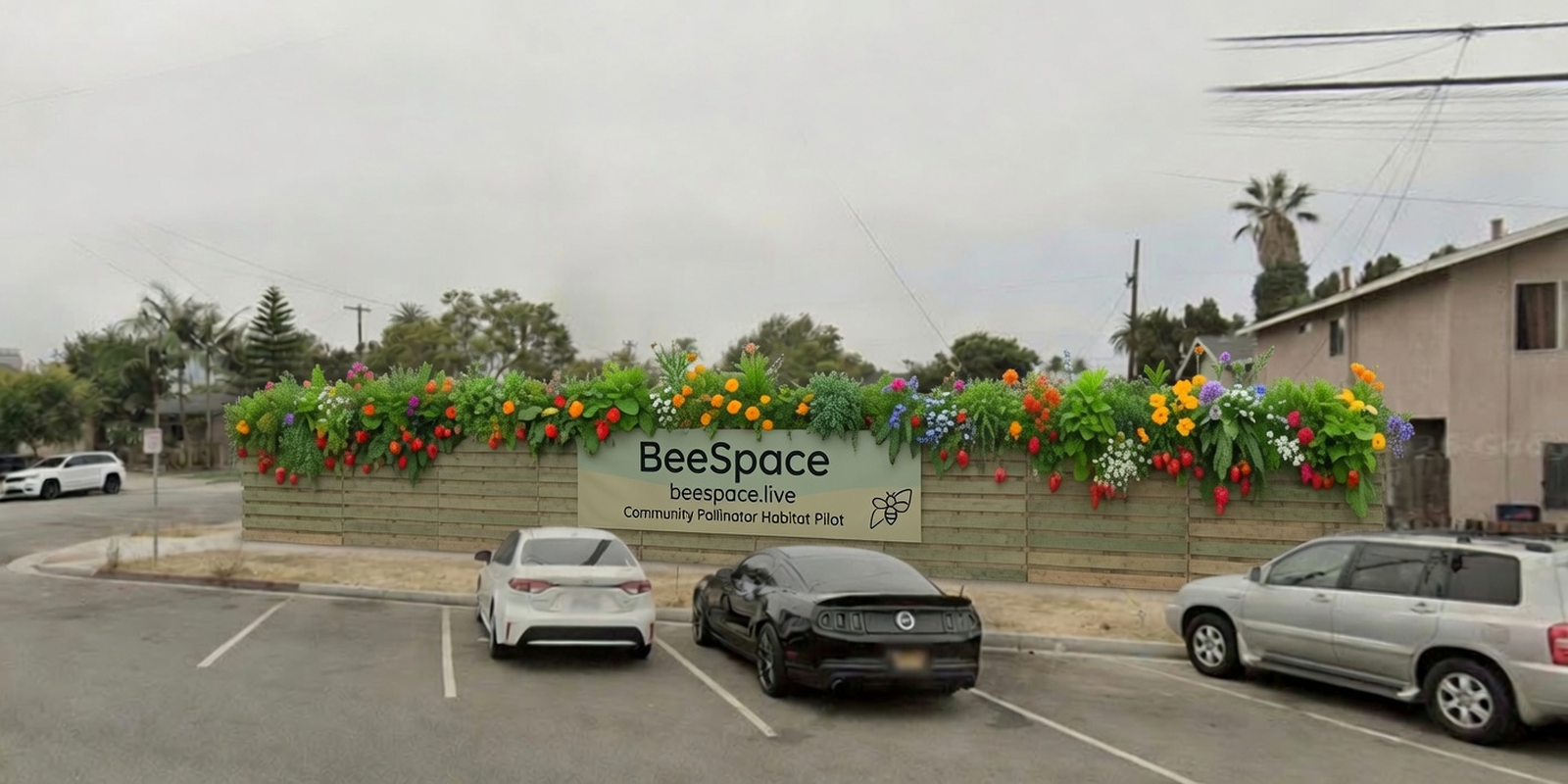After: wooden fence habitat with native plants and BeeSpace community pollinator pilot signage.